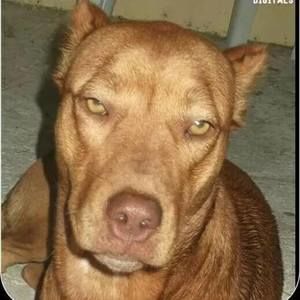 Meet your Posher, Eli